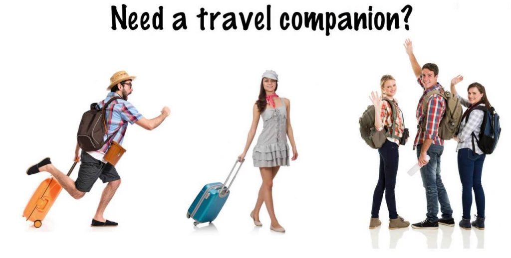 Need Travel Companion