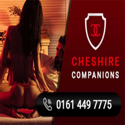 Cheshire Companions